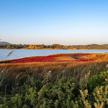 Persephone Halikounas