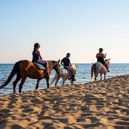 Persephone Halikounas