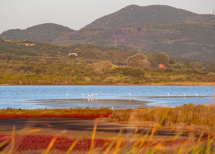 Persephone * Halikounas