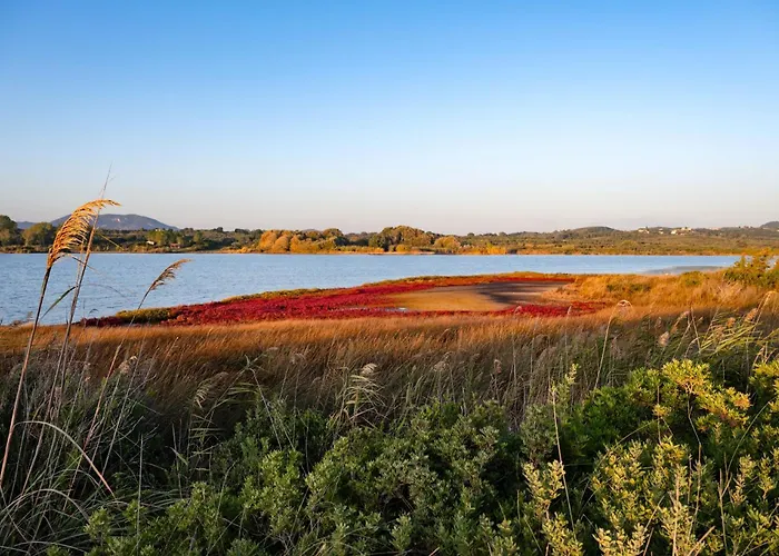 Persephone Halikounas