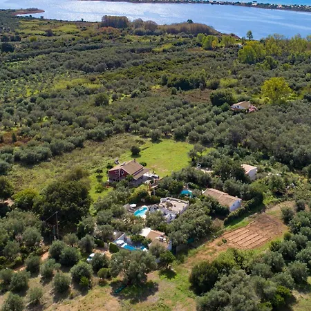 Persephone * Halikounas