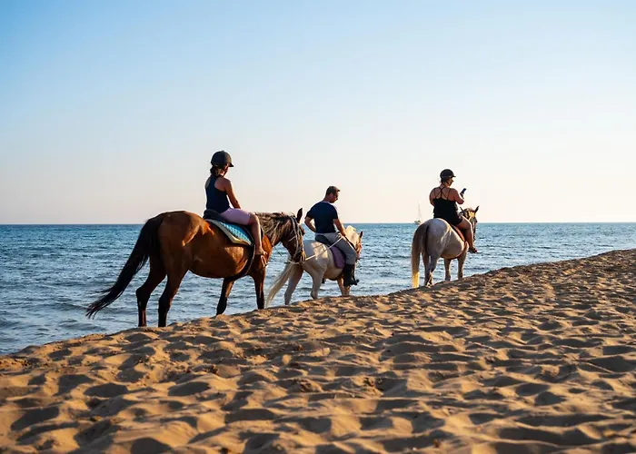 Persephone Χαλικούνας